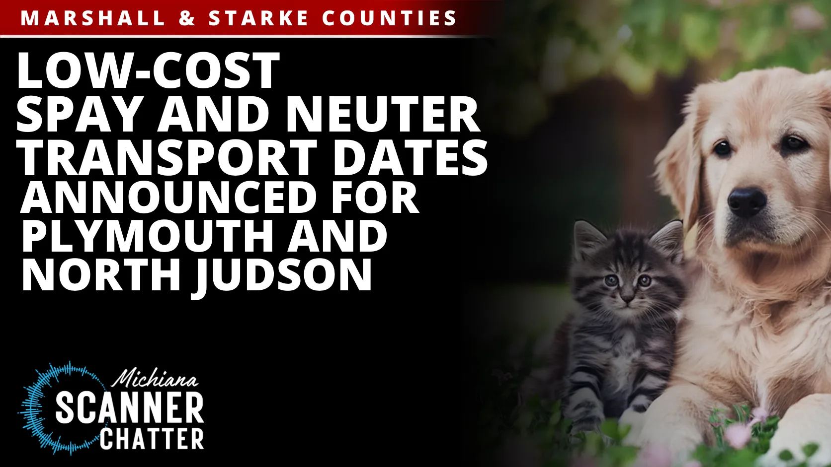 Low-Cost Spay and Neuter Transport Dates Announced for Plymouth and North Judson