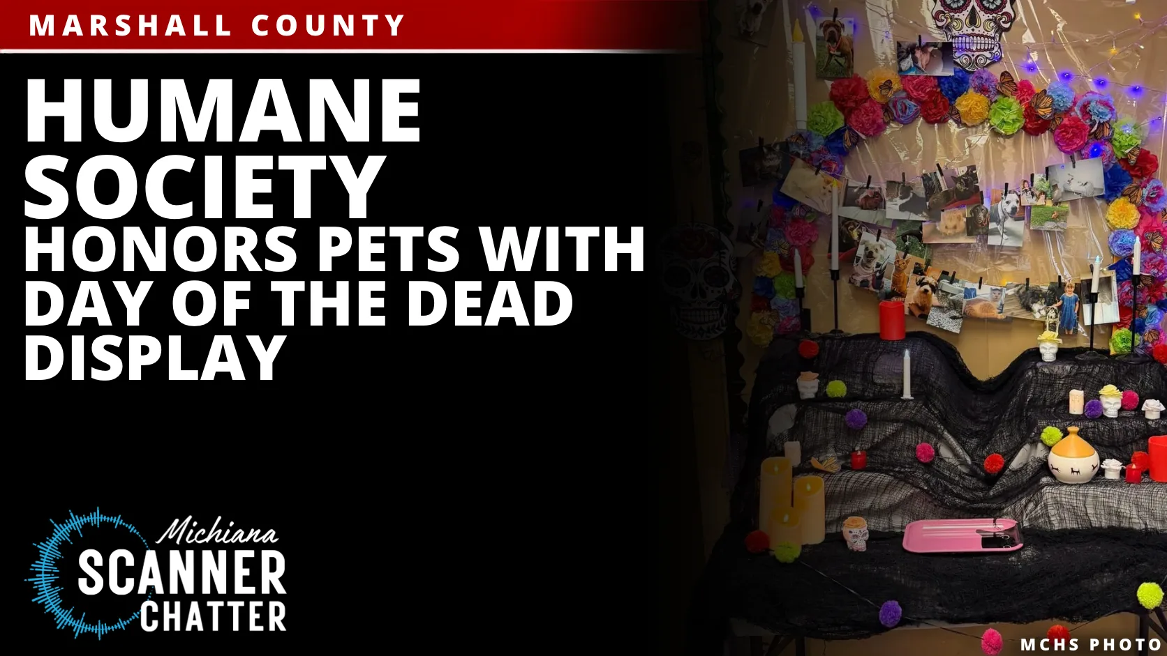 Humane Society Honors Pets With Day of the Dead Display